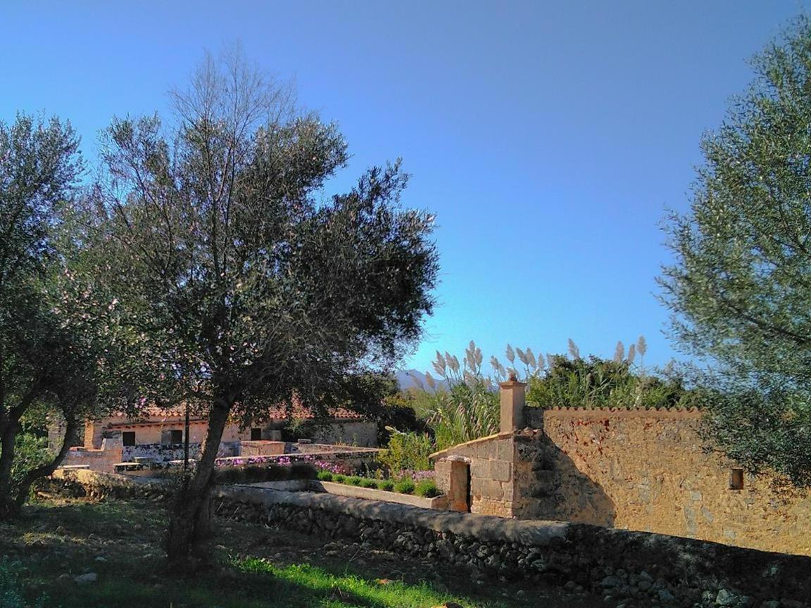 Son Sureda Vakantieboerderij